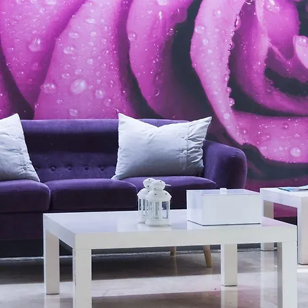 Отель Rio Arga 2*